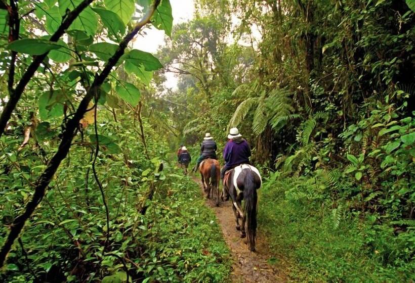 Отель Bomboli Cloud Forest