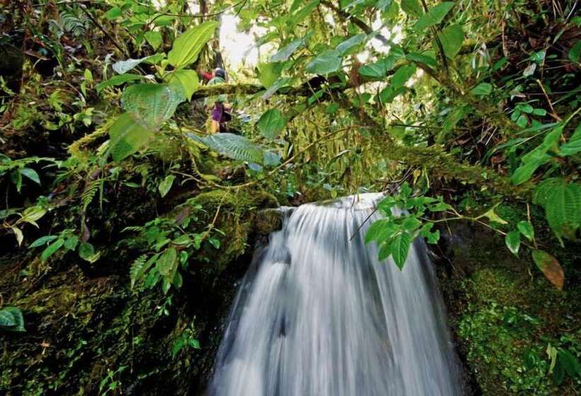 Отель Bomboli Cloud Forest