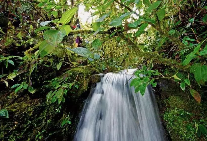 ホテル Bomboli Cloud Forest