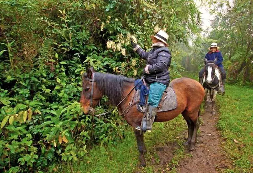 ホテル Bomboli Cloud Forest