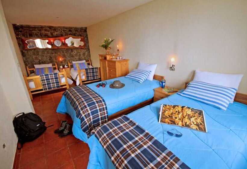 Отель Bomboli Cloud Forest