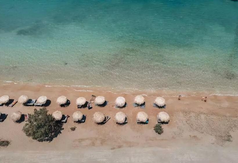 ホテル Cove Paros