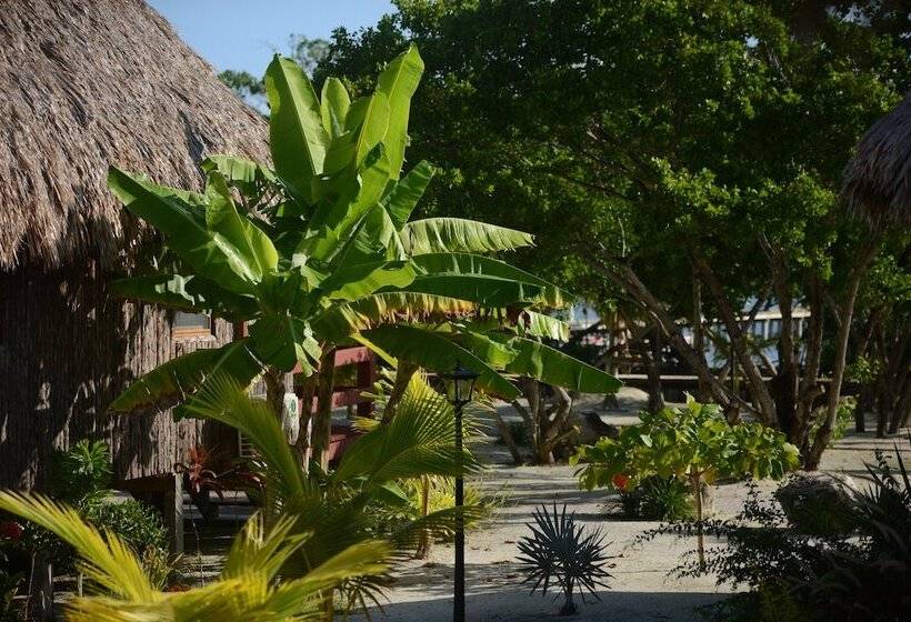 هتل El Ben Cabañas