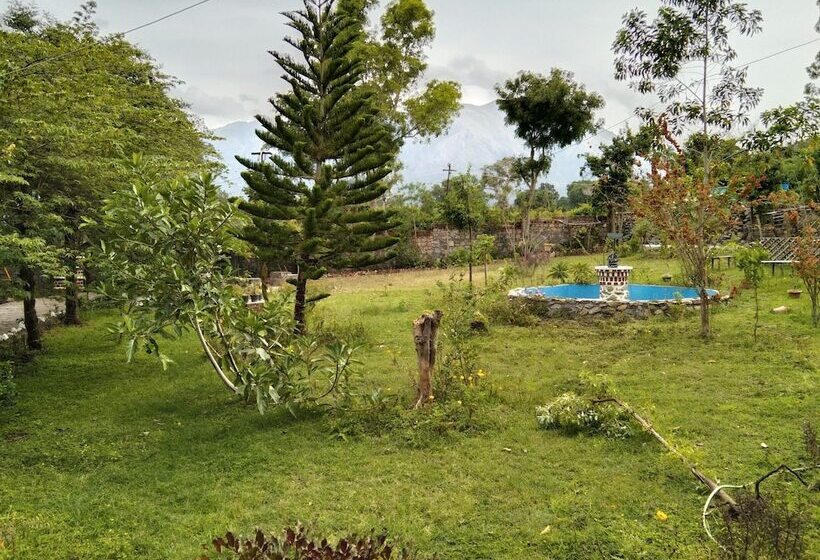 호텔 The Big Cat Den Resort