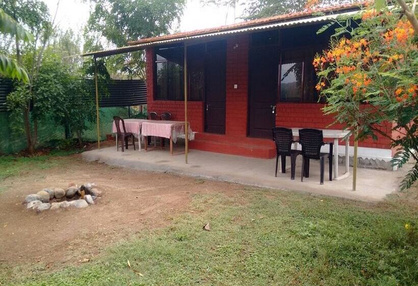 호텔 The Big Cat Den Resort