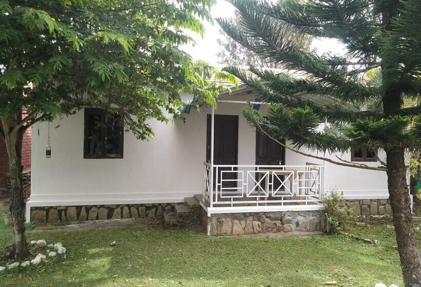 호텔 The Big Cat Den Resort