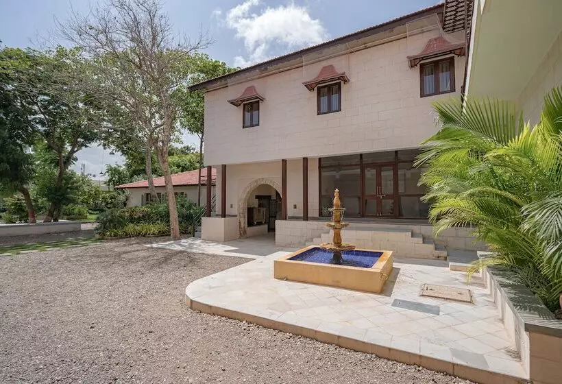 ホテル Tree Of Life Darbargadh, Dared