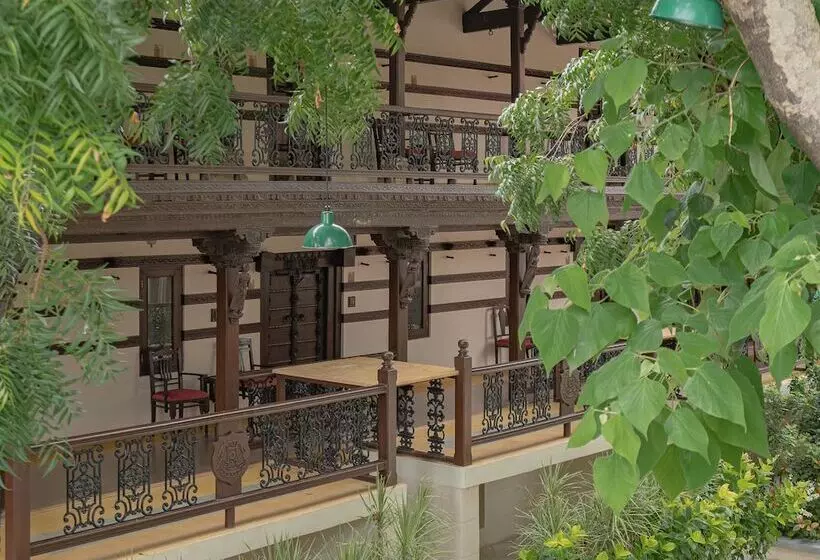 ホテル Tree Of Life Darbargadh, Dared