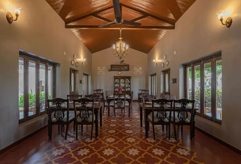 ホテル Tree Of Life Darbargadh, Dared