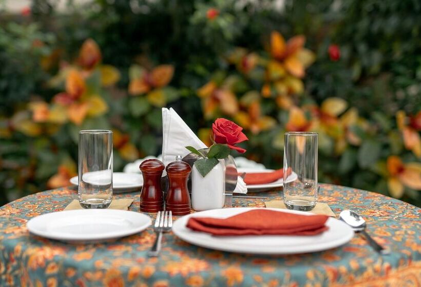 Hotel Tree Of Life Darbargadh, Dared