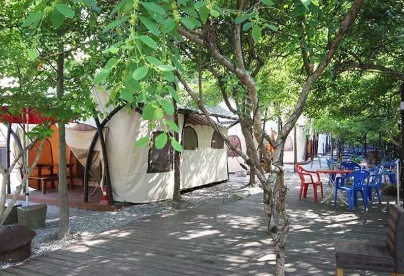 ペンション Hongcheon Coco Vivaldi Glamping Caravan