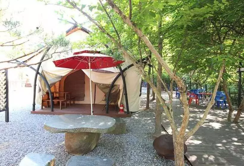 ペンション Hongcheon Coco Vivaldi Glamping Caravan