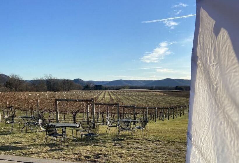 פנסיון Little Bluff Inn