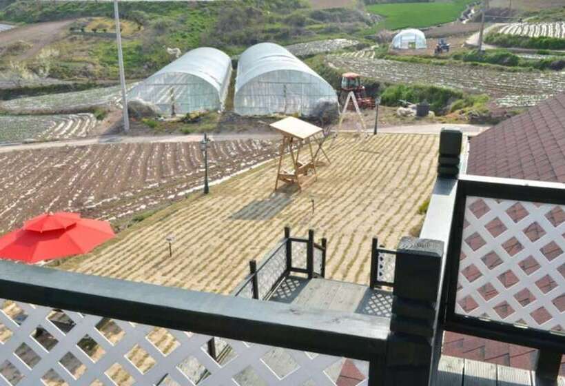 Boseong Byulbaragi Pension