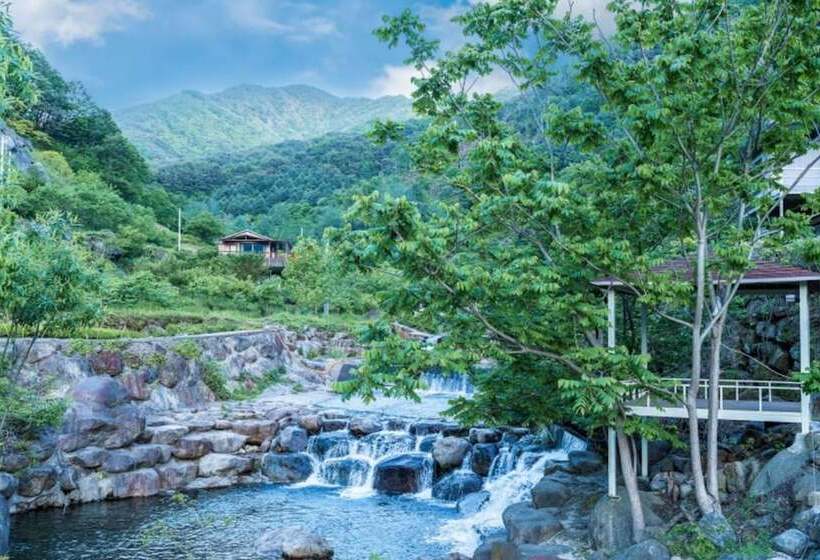 Hedong Alphs Dh Pension