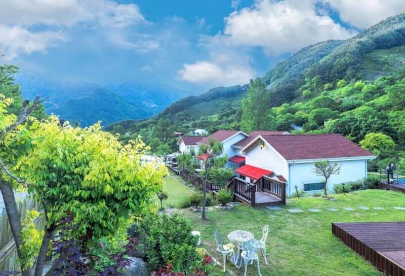 Hedong Alphs Dh Pension