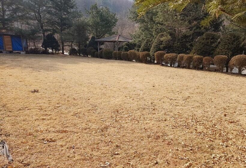 Hongcheon Daebakine Pension