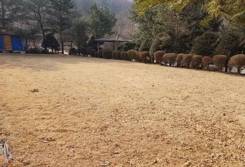 Hongcheon Daebakine Pension