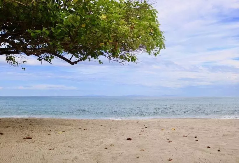 Hotelli Cocoons Club Laiya