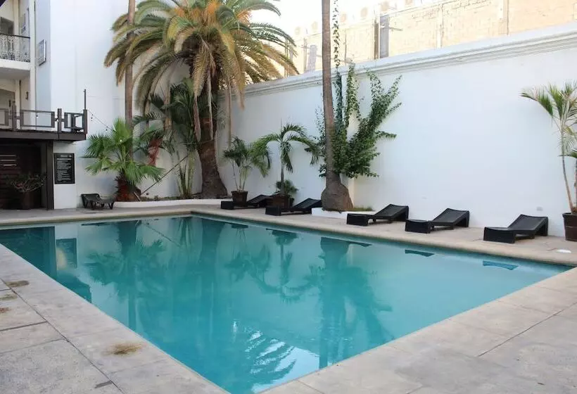 ホテル Wyndham Garden Los Mochis Plaza Inn