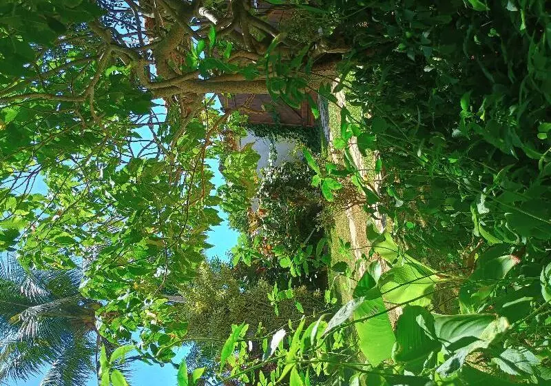 ホテル Namorada Brava Guest House