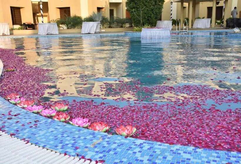 בית מלון כפרי The Sky Imperial Bapu’s Resort