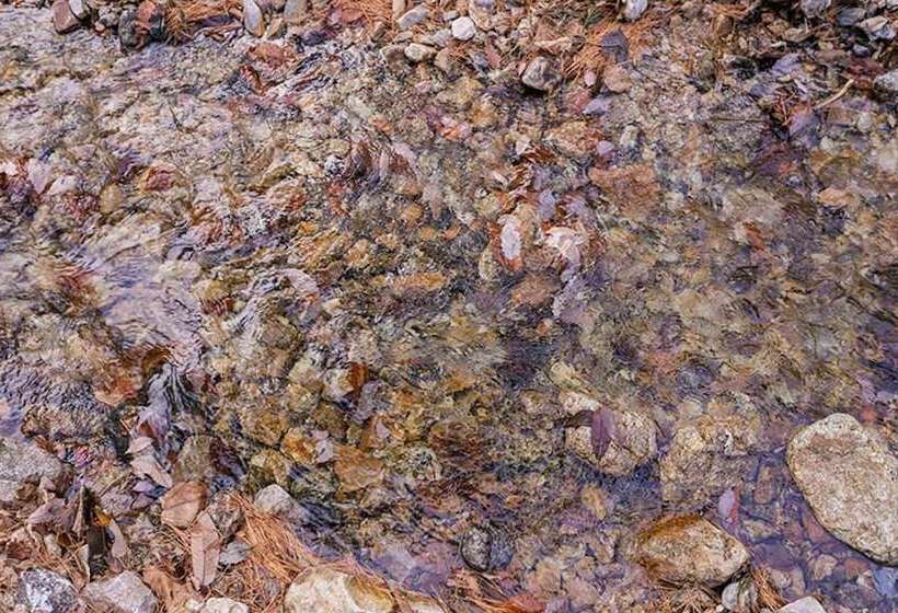 Inje Baekdam Rainbow Pension