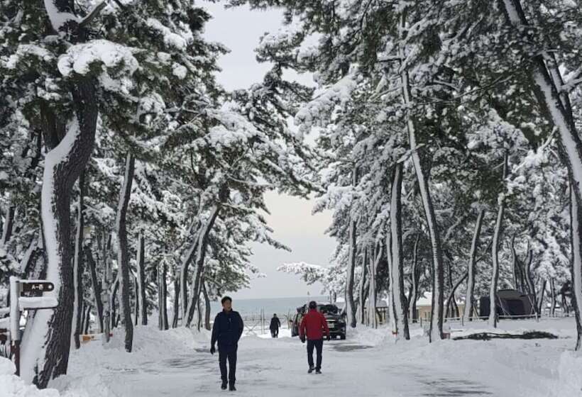 Gangneung Karis Pension