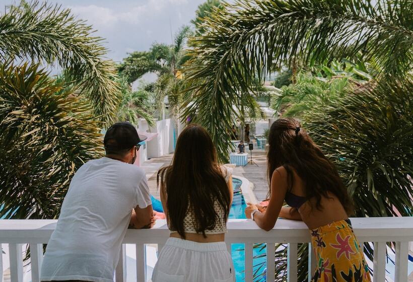 Mad Monkey Kuta Lombok   Hostel