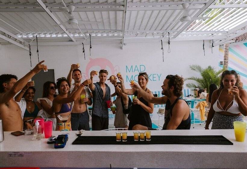 Mad Monkey Kuta Lombok   Hostel