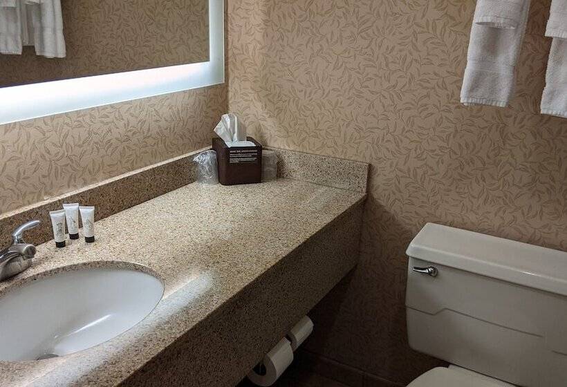 Olympia Hotel At Capitol Lake