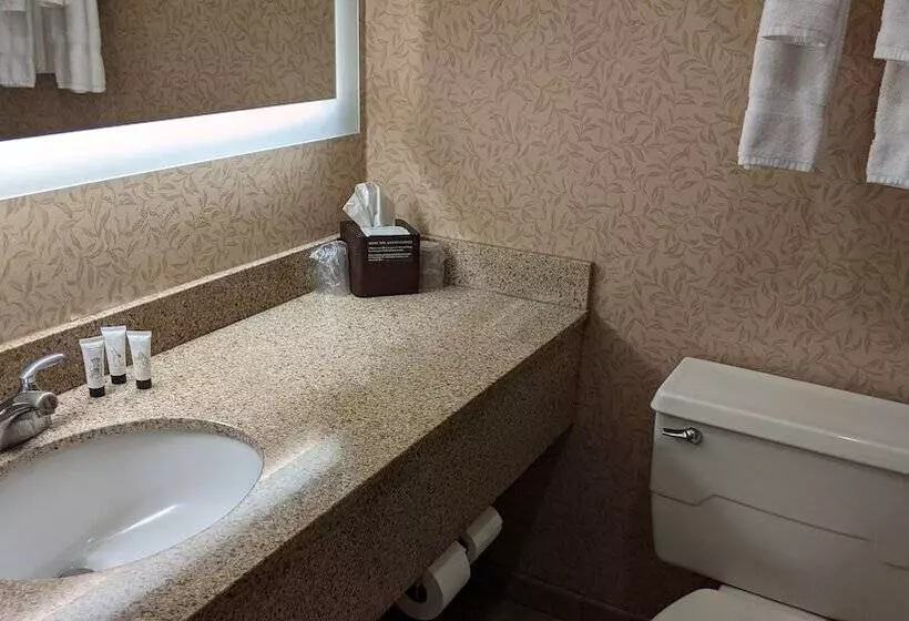 Olympia Hotel At Capitol Lake