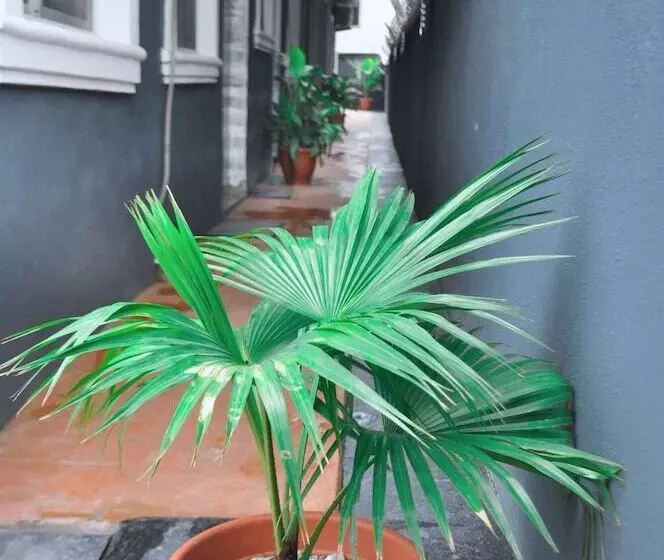 پانسیون Starexx Luxury Apartment