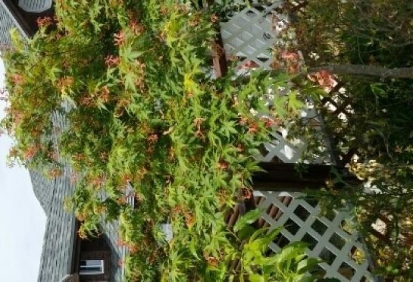 Gyeongju Hillmare Pension