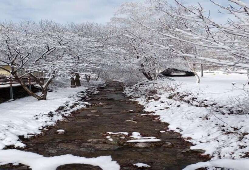 Hongcheon Bandi S Herb Pension