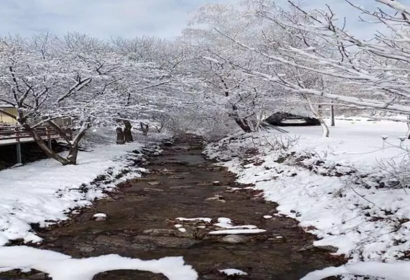 Hongcheon Bandi S Herb Pension