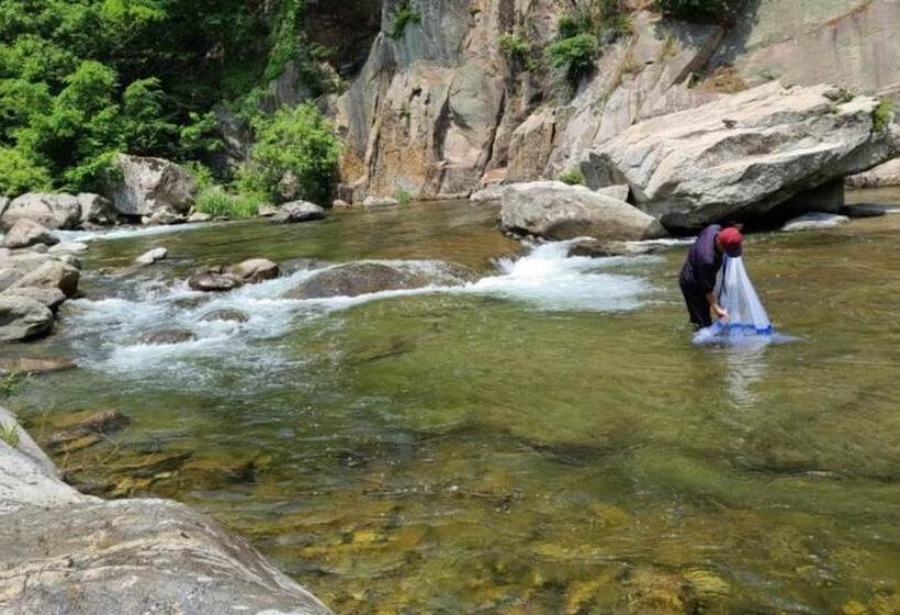 Muju Windmills And Streams Pension
