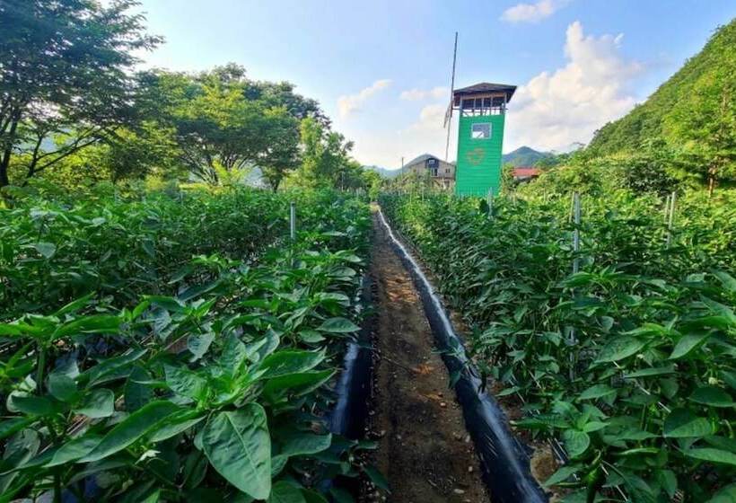 Muju Windmills And Streams Pension