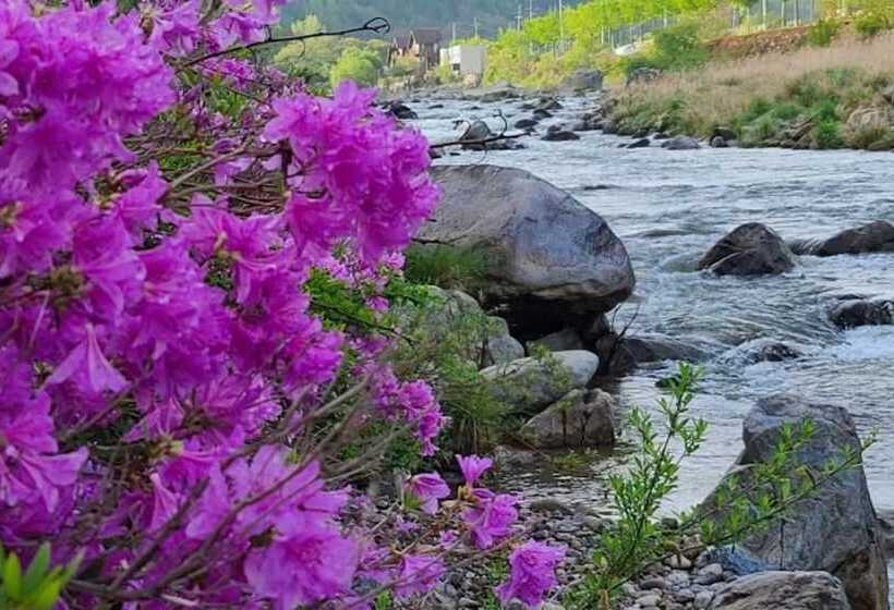 Muju Windmills And Streams Pension