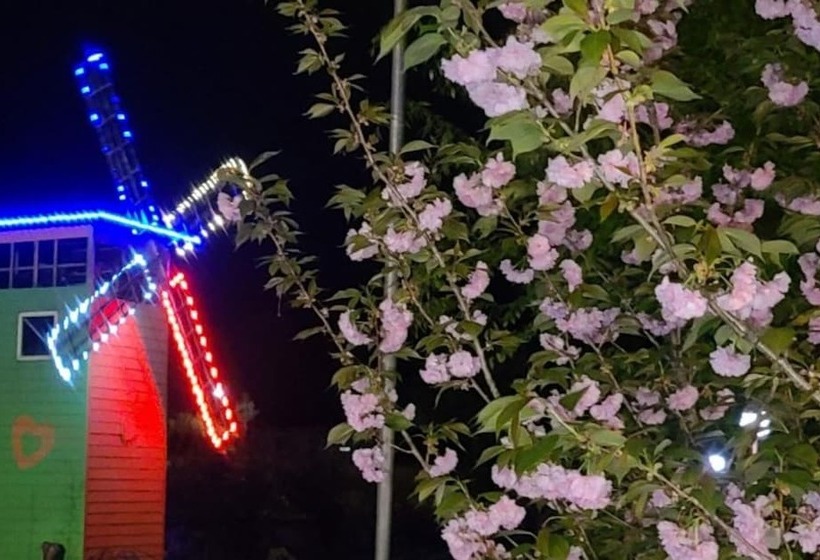 Muju Windmills And Streams Pension