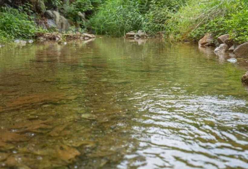 Пансион Yangpyeong Uno House Pool Villa