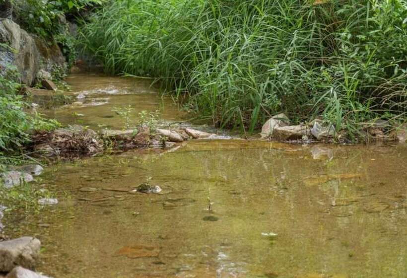 Пансион Yangpyeong Uno House Pool Villa