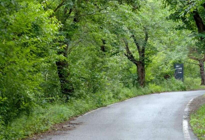 Пансион Yangpyeong Uno House Pool Villa