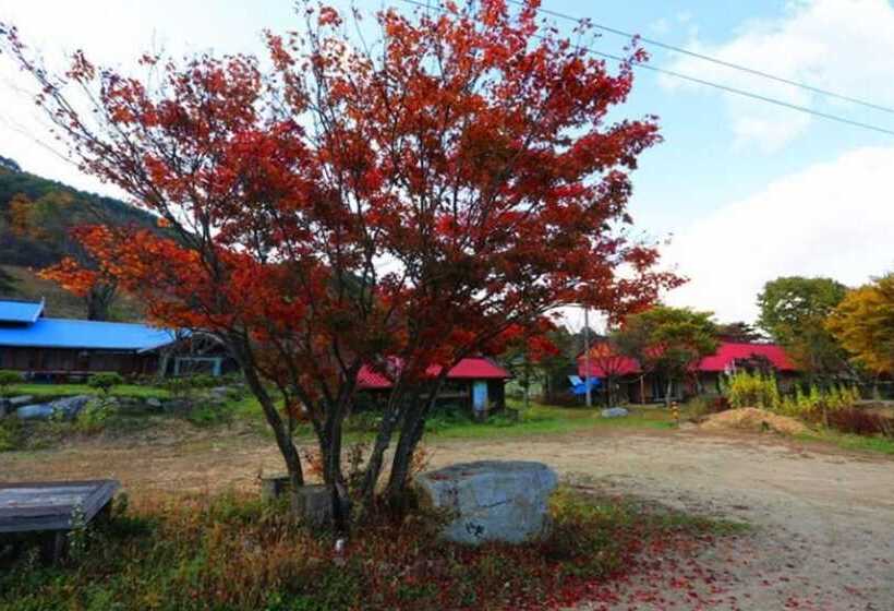 Pyeongchang Pyeongchang Pension Maeul