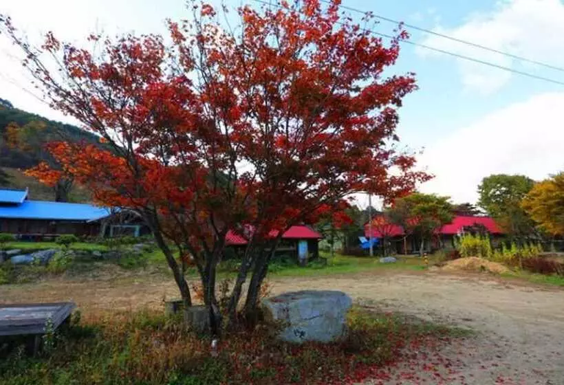 Pyeongchang Pyeongchang Pension Maeul