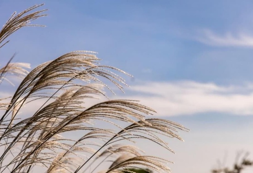 Seosan Badasarang Pension Town