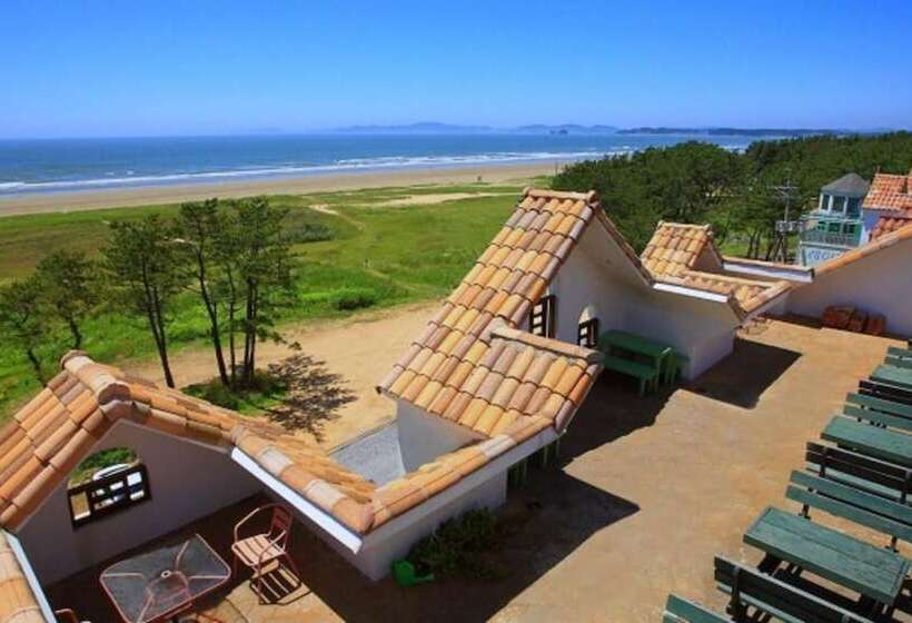 Taean Napoli Pension