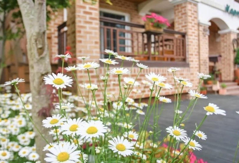 Taean Napoli Pension