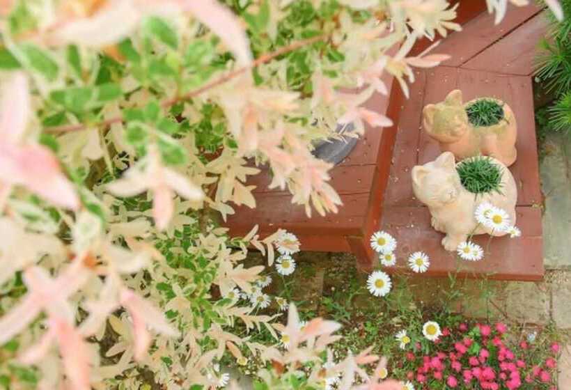 Taean Napoli Pension