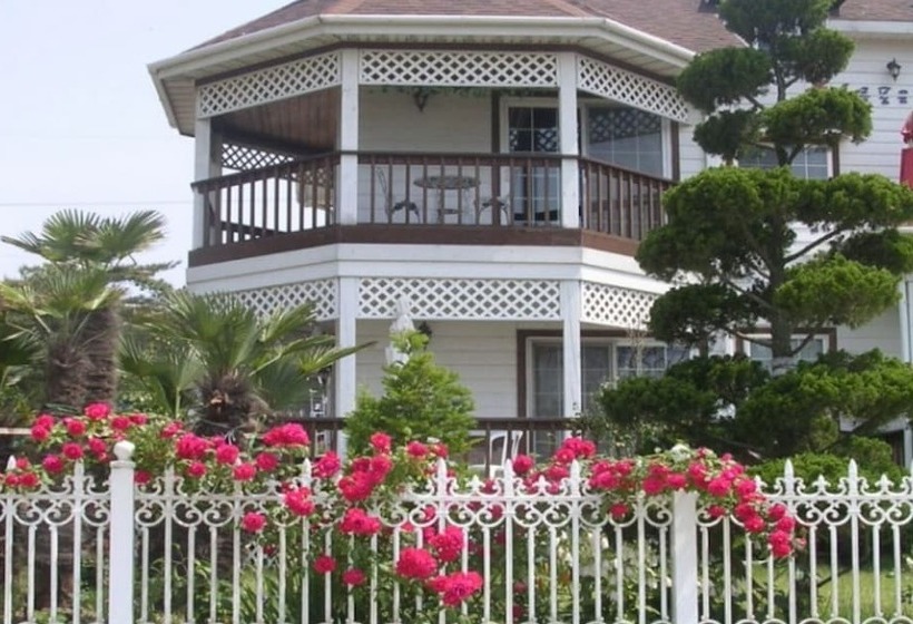 Taean  Sunlit Ocean Pension